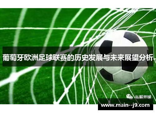 葡萄牙欧洲足球联赛的历史发展与未来展望分析 葡萄牙欧洲足球联赛的历史发展与未来展望分析