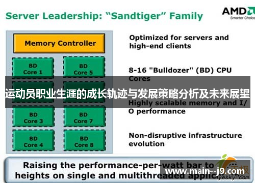 运动员职业生涯的成长轨迹与发展策略分析及未来展望
