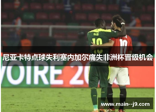 尼亚卡特点球失利塞内加尔痛失非洲杯晋级机会